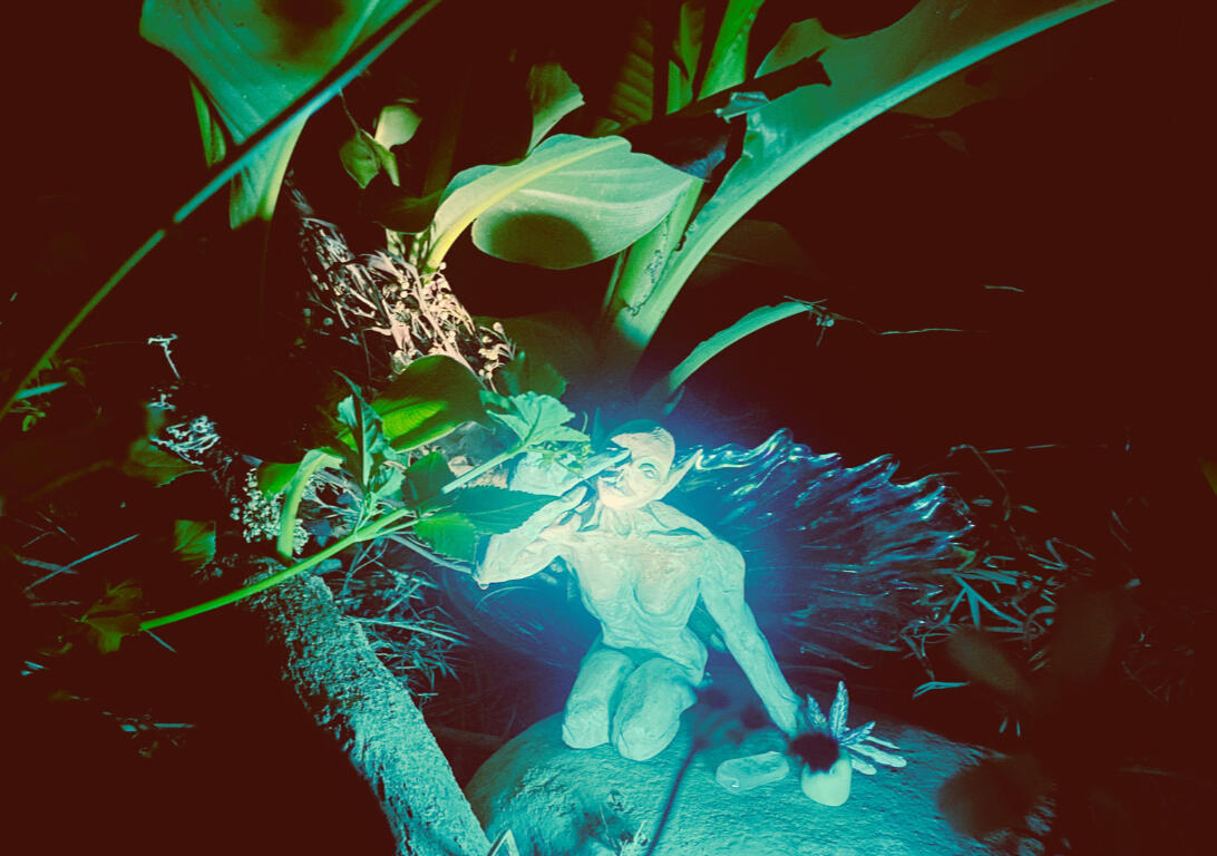 FAIRIES like to inhabit the form of fireflies so they can join in the dance